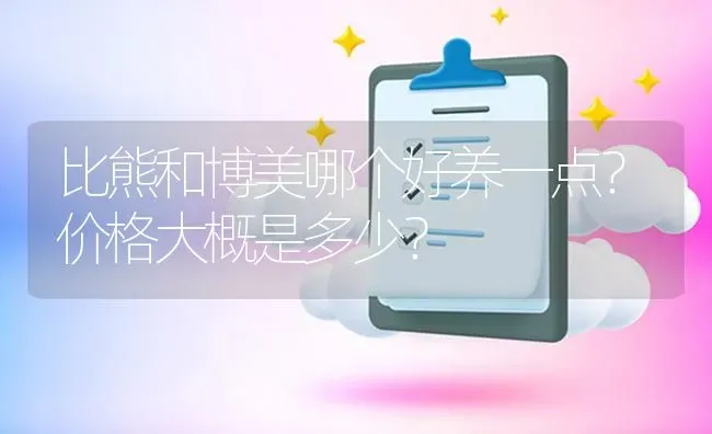 比熊和博美哪个好养一点？价格大概是多少？ | 动物养殖问答