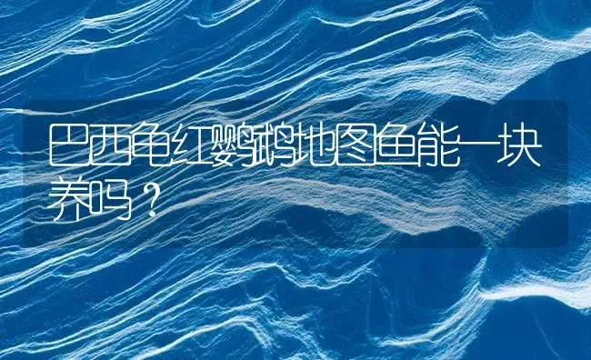 巴西龟红鹦鹉地图鱼能一块养吗？ | 鱼类宠物饲养