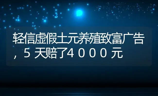 轻信虚假土元养殖致富广告，5天赔了4000元 | 动物养殖百科