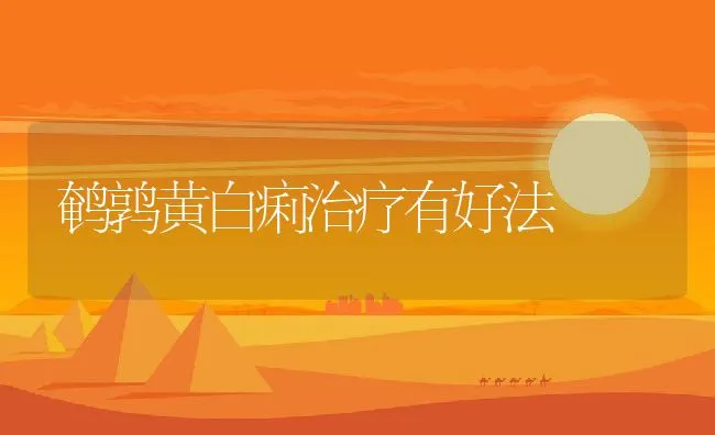 鹌鹑黄白痢治疗有好法 | 动物养殖学堂