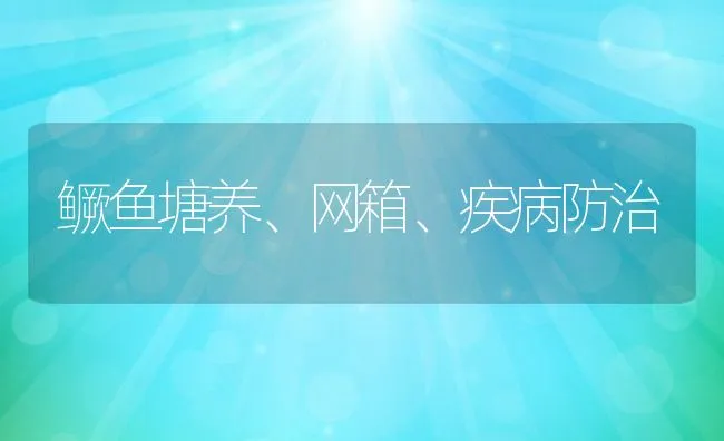 鳜鱼塘养、网箱、疾病防治 | 动物养殖饲料