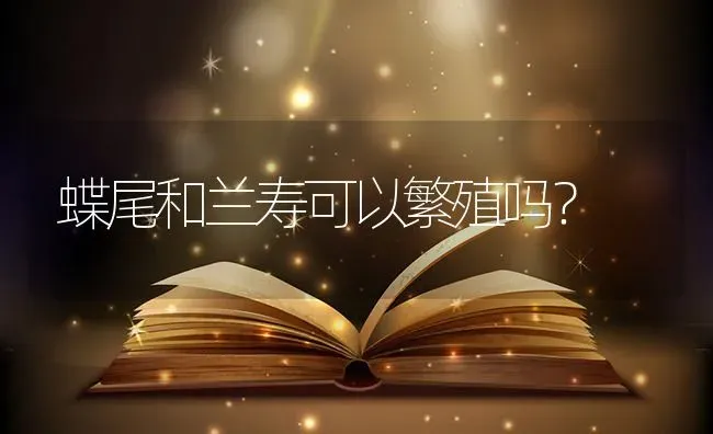 蝶尾和兰寿可以繁殖吗？ | 鱼类宠物饲养