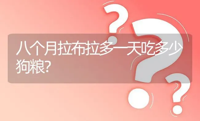 八个月拉布拉多一天吃多少狗粮？ | 动物养殖问答