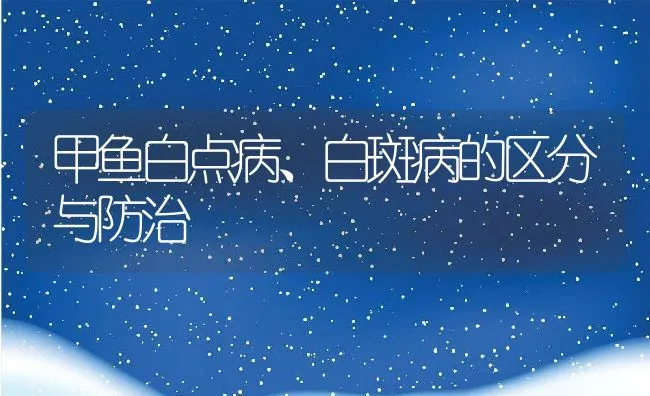 甲鱼白点病、白斑病的区分与防治 | 动物养殖学堂