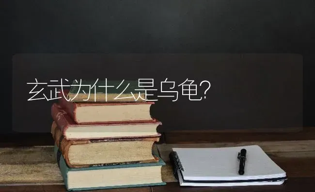 玄武为什么是乌龟？ | 动物养殖问答