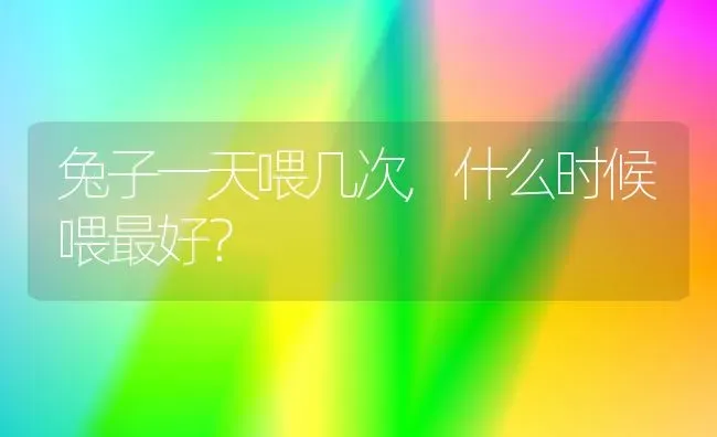 兔子一天喂几次,什么时候喂最好？ | 动物养殖问答