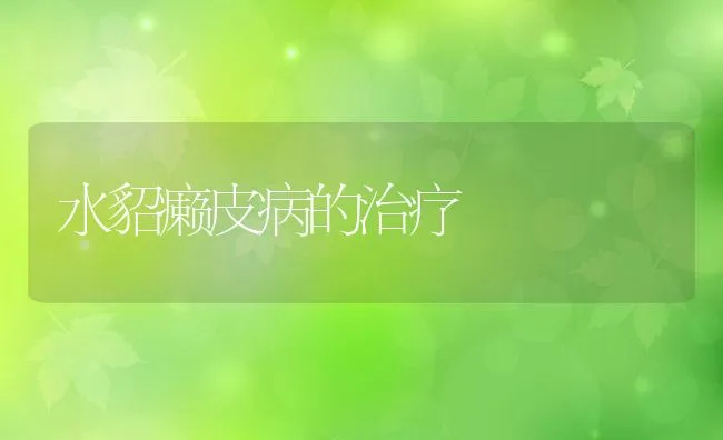 水貂癞皮病的治疗 | 动物养殖学堂