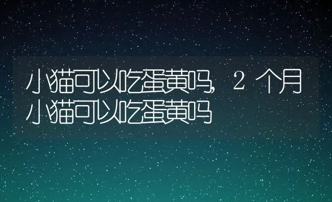 小猫可以吃蛋黄吗,2个月小猫可以吃蛋黄吗 | 宠物百科知识