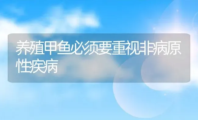 养殖甲鱼必须要重视非病原性疾病 | 动物养殖百科