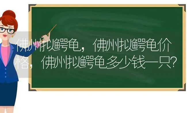 佛州拟鳄龟，佛州拟鳄龟价格，佛州拟鳄龟多少钱一只？ | 动物养殖问答