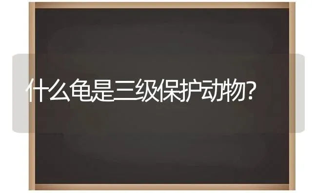 什么龟是三级保护动物？ | 动物养殖问答