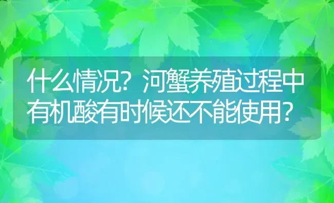 什么情况？河蟹养殖过程中有机酸有时候还不能使用？ | 动物养殖百科