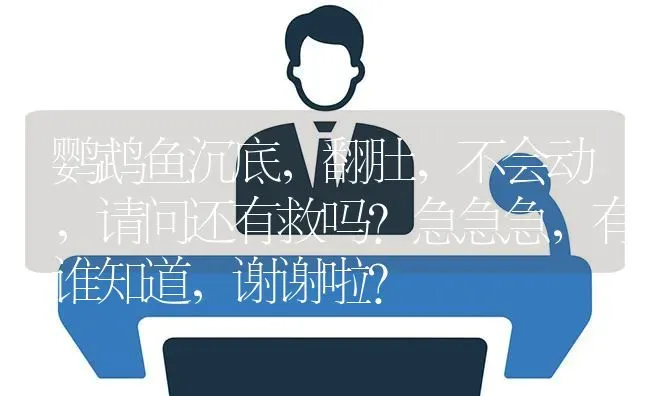 鹦鹉鱼沉底，翻肚，不会动，请问还有救吗？急急急，有谁知道，谢谢啦？ | 鱼类宠物饲养