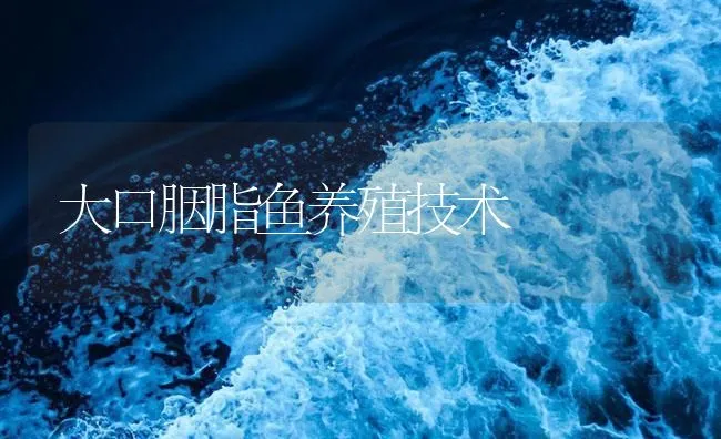 大口胭脂鱼养殖技术 | 海水养殖技术