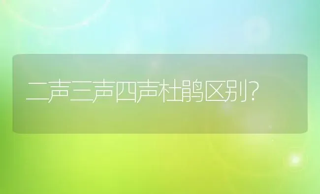 二声三声四声杜鹃区别？ | 动物养殖问答