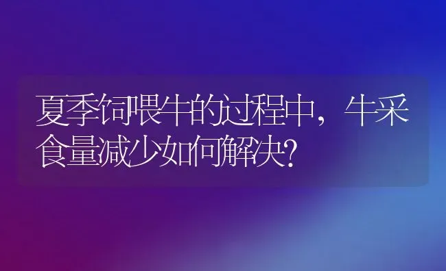 夏季饲喂牛的过程中，牛采食量减少如何解决？ | 动物养殖百科