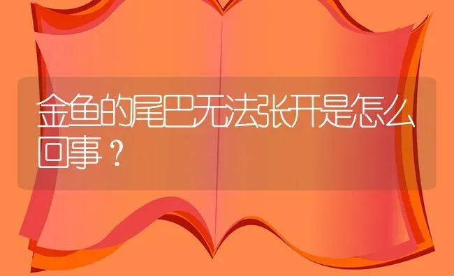 金鱼的尾巴无法张开是怎么回事？ | 鱼类宠物饲养