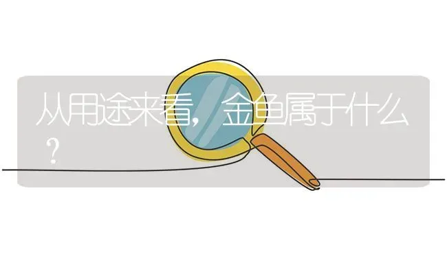 从用途来看，金鱼属于什么？ | 鱼类宠物饲养