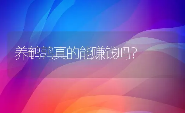 养鹌鹑真的能赚钱吗？ | 动物养殖百科