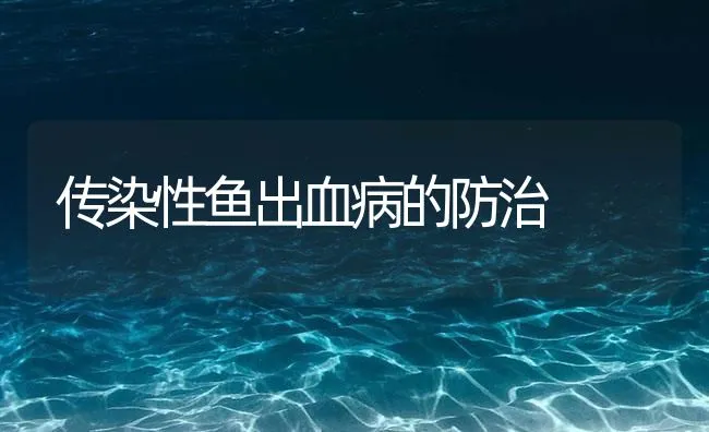 传染性鱼出血病的防治 | 海水养殖技术