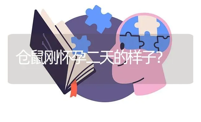 仓鼠刚怀孕二天的样子？ | 动物养殖问答