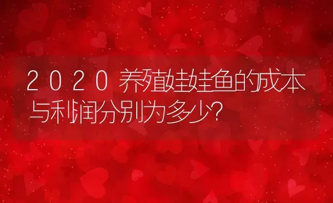 2020养殖娃娃鱼的成本与利润分别为多少？ | 动物养殖百科