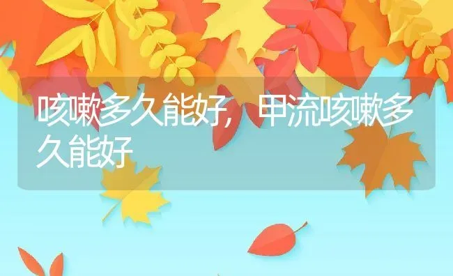 咳嗽多久能好,甲流咳嗽多久能好 | 宠物百科知识