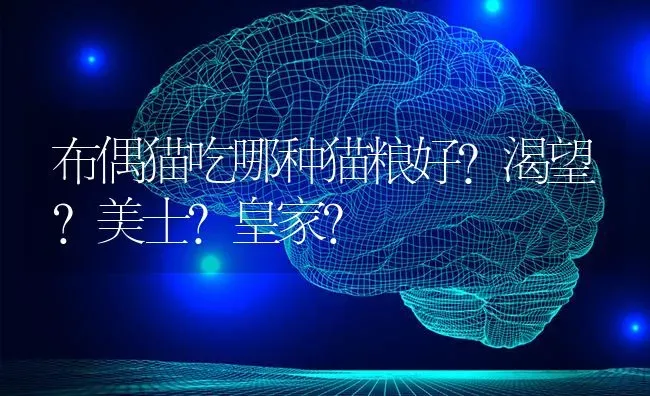 布偶猫吃哪种猫粮好?渴望?美士?皇家？ | 动物养殖问答