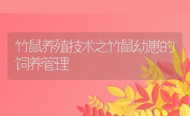 竹鼠养殖技术之竹鼠幼崽的饲养管理 | 动物养殖教程