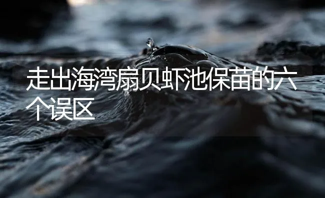 走出海湾扇贝虾池保苗的六个误区 | 海水养殖技术