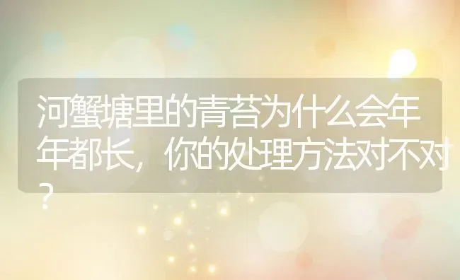 河蟹塘里的青苔为什么会年年都长，你的处理方法对不对？ | 动物养殖教程