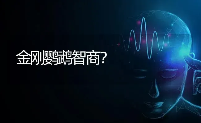 金刚鹦鹉智商？ | 动物养殖问答