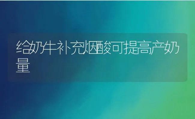 给奶牛补充烟酸可提高产奶量 | 动物养殖学堂