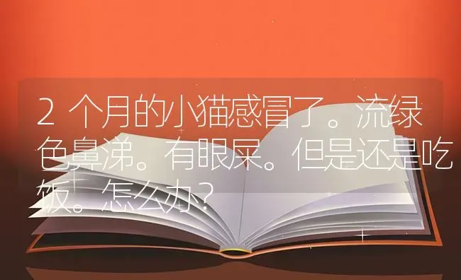 2个月的小猫感冒了。流绿色鼻涕。有眼屎。但是还是吃饭。怎么办？ | 动物养殖问答