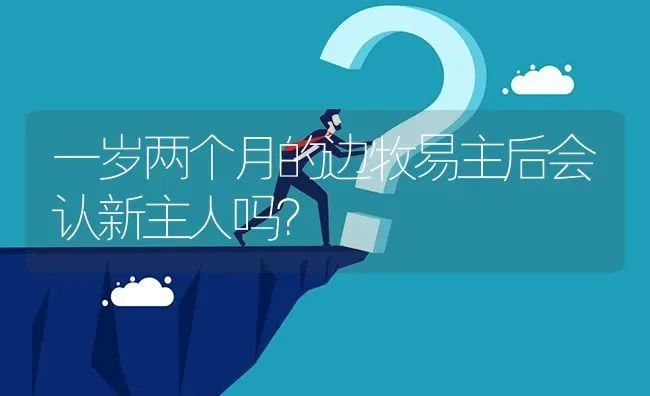 一岁两个月的边牧易主后会认新主人吗？ | 动物养殖问答