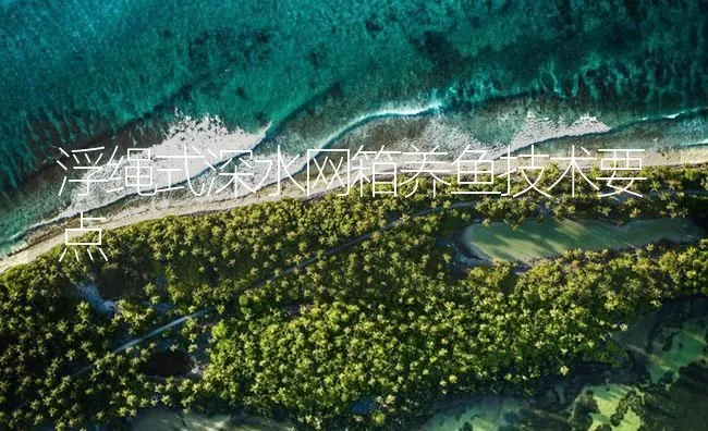 浮绳式深水网箱养鱼技术要点 | 海水养殖技术