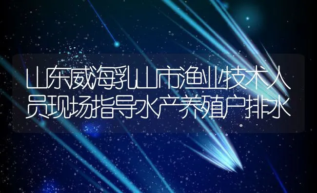 山东威海乳山市渔业技术人员现场指导水产养殖户排水 | 动物养殖饲料