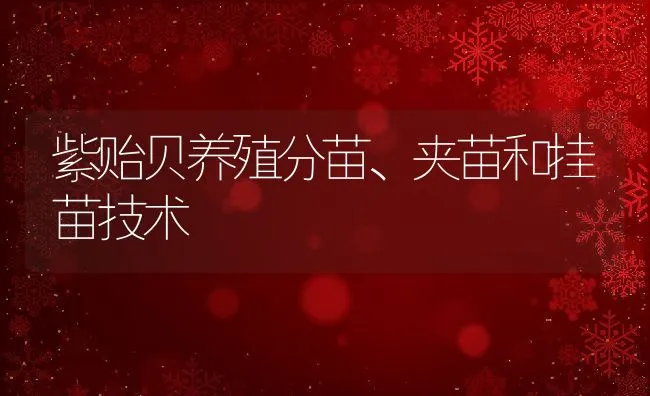 紫贻贝养殖分苗、夹苗和挂苗技术 | 动物养殖饲料