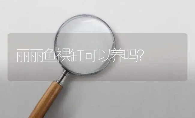 丽丽鱼裸缸可以养吗？ | 鱼类宠物饲养