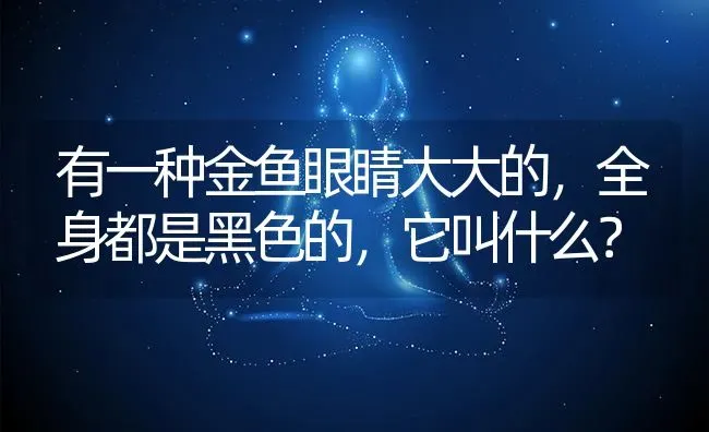 有一种金鱼眼睛大大的，全身都是黑色的，它叫什么？ | 鱼类宠物饲养