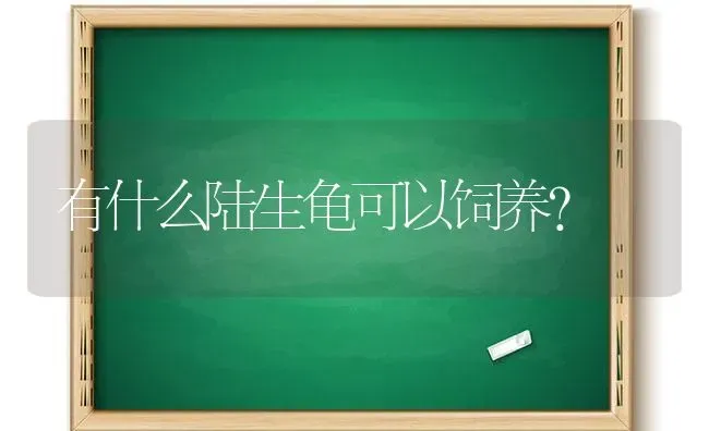 求助求助求助，猫咪尿液呈淡红色？ | 动物养殖问答