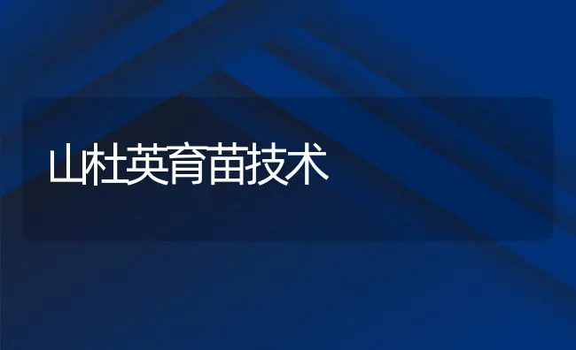 冬季蛋鸡高产蛋率饲养方法 | 动物养殖学堂