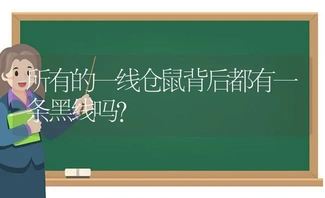 所有的一线仓鼠背后都有一条黑线吗？ | 动物养殖问答