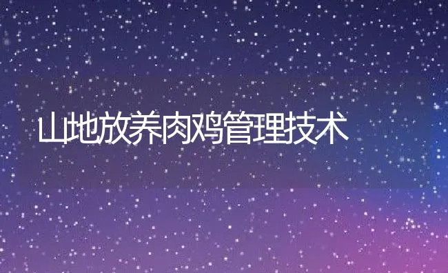 弱雏鸡安全饲养五措施 | 动物养殖学堂