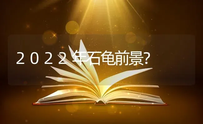 2022年石龟前景？ | 动物养殖问答