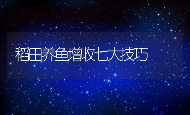 稻田养鱼增收七大技巧 | 动物养殖百科