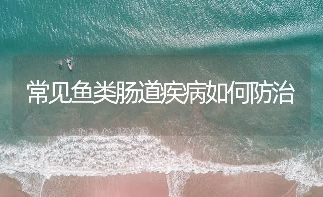 常见鱼类肠道疾病如何防治 | 海水养殖技术