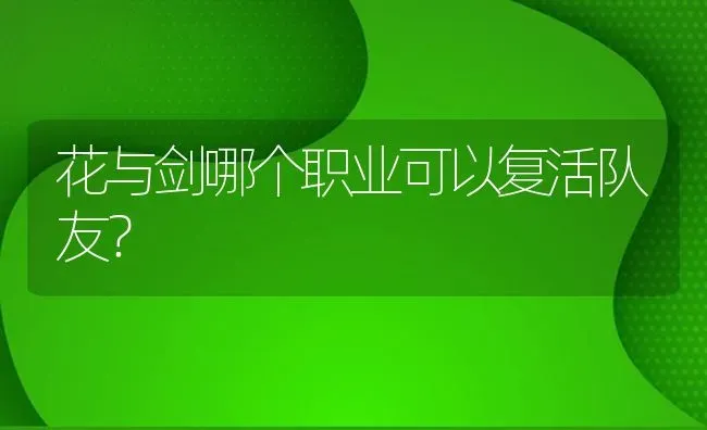 花与剑哪个职业可以复活队友？ | 鱼类宠物饲养