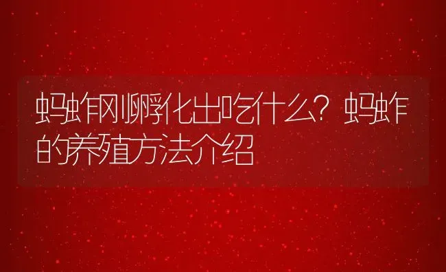 蚂蚱刚孵化出吃什么？蚂蚱的养殖方法介绍 | 动物养殖百科