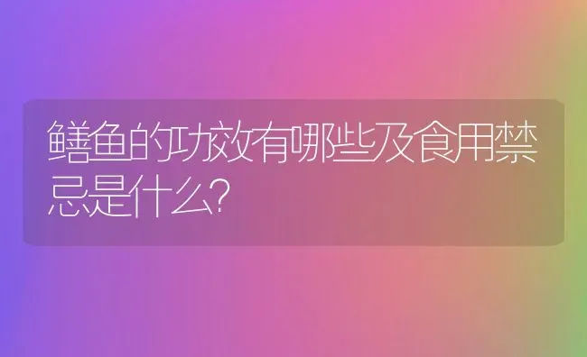 鳝鱼的功效有哪些及食用禁忌是什么？ | 动物养殖百科